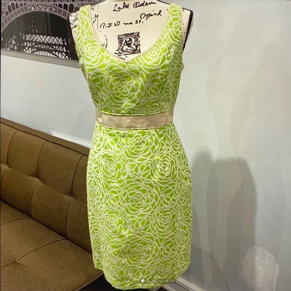 Maggy London Dresses & Skirts - Maggie London Green/white sleeveless dress size 8